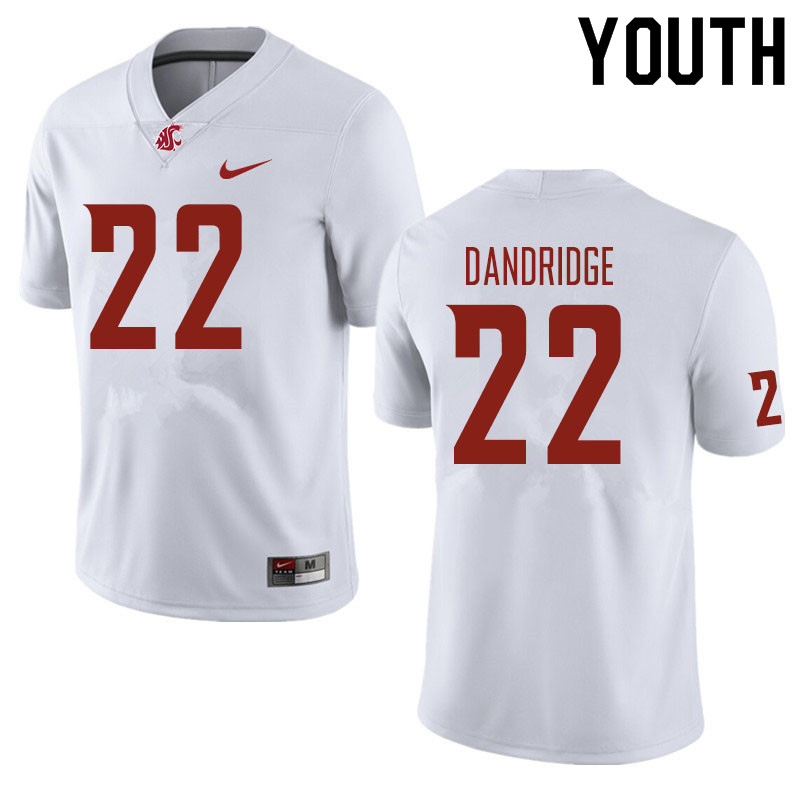 Youth #22 Matthew Dandridge Washington State Cougars Football Jerseys Sale-White - Click Image to Close